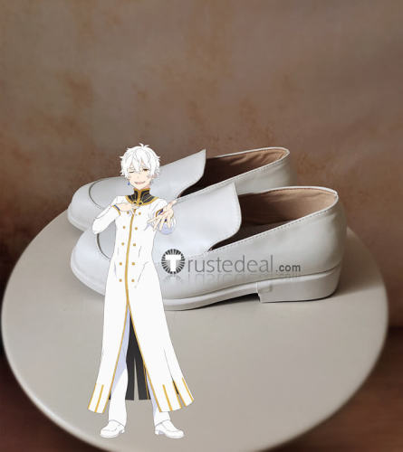 Re Zero Kara Hajimeru Isekai Seikatsu Emilia Beatrice Felix Argyle Ferris Regulus Corneas White Cosplay Shoes Boots