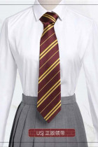Harry Potter Stripe Necktie
