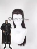 The legend of Vox Machina Percival de Rolo Percy Pike Trickfoot Lady Vex'ahlia de Rolo Vex Vax'ildan Vax Styled Cosplay Wig