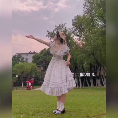 Withpuji Summer Flower Wall Lolita Dress