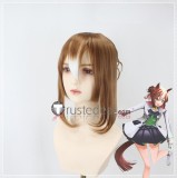 Uma Musume Pretty Derby Mejiro Ramonu Super Creek Fine Motion Brown Black Styled Cosplay Wig