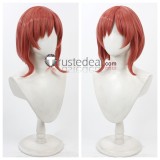 Pretty Cure Cure Nyammy Nekoyashiki Yuki Cure Happy Hoshizora Miyuki Cure Lovely Aino Megumi Inukai Iroha Brown Pink Orange Cosplay Wig