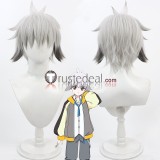 Pretty Cure Hanamichi Ran Hijiri Ageha Toyama Daifuku Gijinka Brown Yellow Grey Cosplay Wig