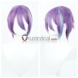 Project Sekai Colorful Stage Momoi Airi Azusawa Kohane Kamishiro Rui Asahina Mafuyu Pink Beige Grey Purple Cosplay Wigs