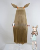 Pokemon Jasmine Sonia Orange Brown Styled Cosplay Wig