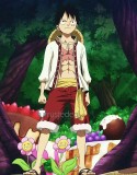 One Piece Luffy Whole Cake Island Monkey D Luffy Red Cosplay Costume