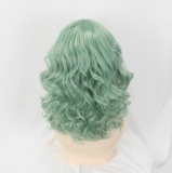Pokemon Gym Leader Clay Brown Styled Cosplay Wig