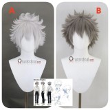 Commission Neon Genesis Evangelion Kaworu Nagisa Grey Styled Cosplay Wig