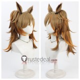 Uma Musume Pretty Derby Dantsu Flame Cesario Air Messiah Blast Onepiece Brown Blue Green Cosplay Wigs