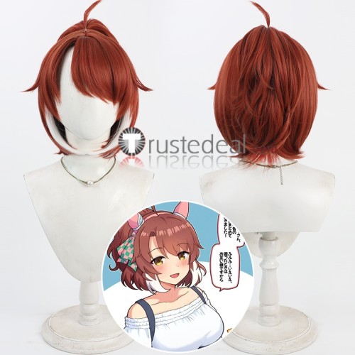 Uma Musume Pretty Derby Dantsu Flame Cesario Air Messiah Blast Onepiece Brown Blue Green Cosplay Wigs