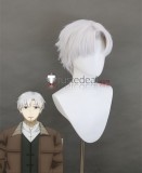 Spice and Wolf Kraft Lawrence Grey Silver White Styled Cosplay Wig