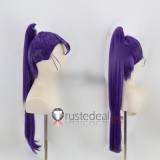Nintama Rantarou Zenpouji Isaku Kema Tomesaburou Tachibana Senzou Brown Blue Purple Styled Cosplay Wigs