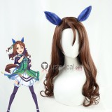 Uma Musume Pretty Derby Tamamo Cross King Halo Matikanetannhauser Hokko Tarumae Grey Brown Cosplay Wigs