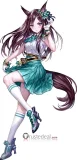 Uma Musume Pretty Derby Mejiro Dober Outfit Cosplay Costume