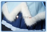 Vocaloid 2012 Snow Hatsune Miku Blue Cosplay Costume