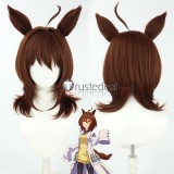 Uma Musume Pretty Derby Nakayama Festa Twin Turb Agnes Tachyon Seiun Sky Brown Blue Cosplay Wigs