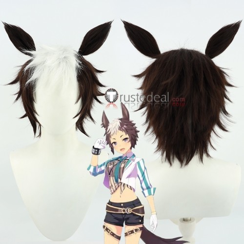 Uma Musume Pretty Derby Mejiro Ryan Mejiro Bright Taiki Shuttle Sirius Symboli Brown Black Cosplay Wigs