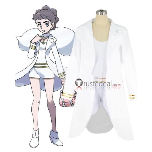Pokemon X Diantha Aura Guardian Sir Aaron Cosplay Costumes