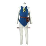 Pokemon X Diantha Aura Guardian Sir Aaron Cosplay Costumes