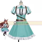Uma Musume Pretty Derby The Decisive Mejiro Ryan Mejiro Bright Blue Outfit Cosplay Costume