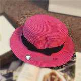 Pokemon X and Y Trainer Serena Pink Cosplay Straw Hat Accessory
