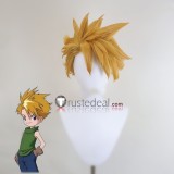 Digimon Adventure Ishida Yamato Blonde Styled Cosplay Wig
