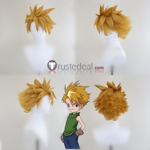 Digimon Adventure Ishida Yamato Blonde Styled Cosplay Wig