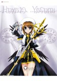 Magical Girl Lyrical Nanoha Signum Pink Ponytail Fate Testarossa Hayate Yagami Blonde Brown Styled Cosplay Wig