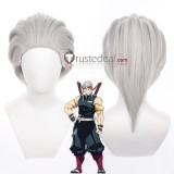 Kimetsu no Yaiba Tengen Uzui Rui Akaza Grey White Red Cosplay Wigs