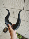 Anime Game Cosplay Fairy Elf Cosplay Ears Dragon Horns Accessories
