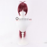 Puella Magi Madoka Magica Sakura Kyoko Braid Long Ponytails Wine Red Cosplay Wig