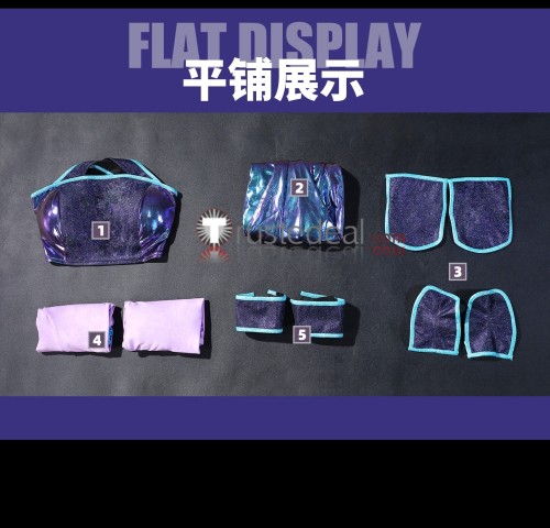 Winx Club Tecna Aisha Fairy Purple Blue Cosplay Costume