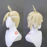 Pokemon Sun And Moon Pokemon SM Gladion Doctor Mohn Sword and Shield Melony Nate Styled Cosplay Wig