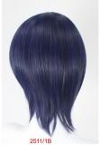 Final Fantasy XIV FF14 Miqo'te G'raha Tia Fandanie Haurchefant Greystone Male Elezen Silver White Blue Black Red Cosplay Wigs