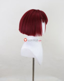 The Big O R Dorothy Wayneright Styled Red Cosplay Wig