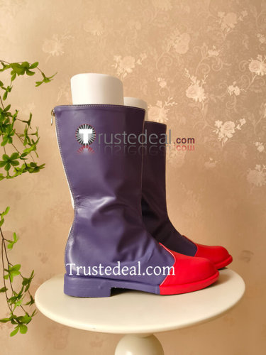 Sonic Underground Sonia the Hedgehog Red Purple Cosplay Shoes Boots