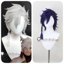 Final Fantasy XIV FF14 Miqo'te G'raha Tia Fandanie Haurchefant Greystone Male Elezen Silver White Blue Black Red Cosplay Wigs