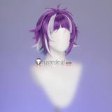 Disney Twisted-Wonderland Neige LeBlanche Chenya Skully J Graves Malleus Draconia Black Purple Silver Cosplay Wig