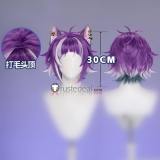 Disney Twisted-Wonderland Neige LeBlanche Chenya Skully J Graves Malleus Draconia Black Purple Silver Cosplay Wig