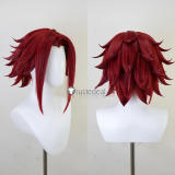 Code Geass Kallen Stadtfeld Suzaku Kururugi Brown Red Styled Red Cosplay Wig