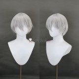 Hack Ouka Silver Styled Cosplay Wig
