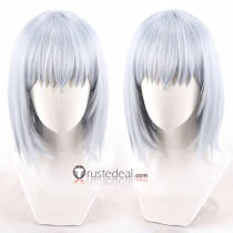 Hack Tsukasa Silver White Cosplay Wig