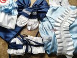 Touhou Imperishable Night Yuyuko Saigyouji Cosplay Costume