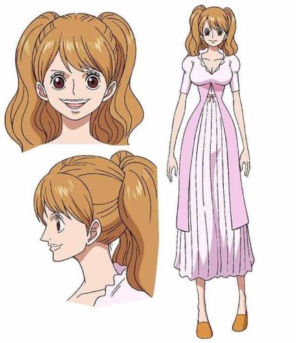 One Piece Charlotte Pudding Brown Ponytails Styled Cosplay Wig 70cm