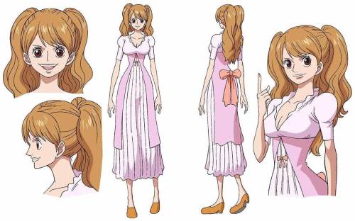 One Piece Charlotte Pudding Brown Ponytails Styled Cosplay Wig 70cm