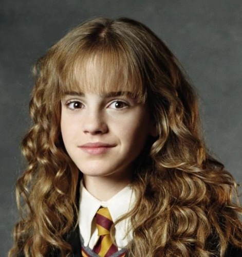 Harry Potter Hermione Jean Granger Brown Styled Cosplay Wig 50cm