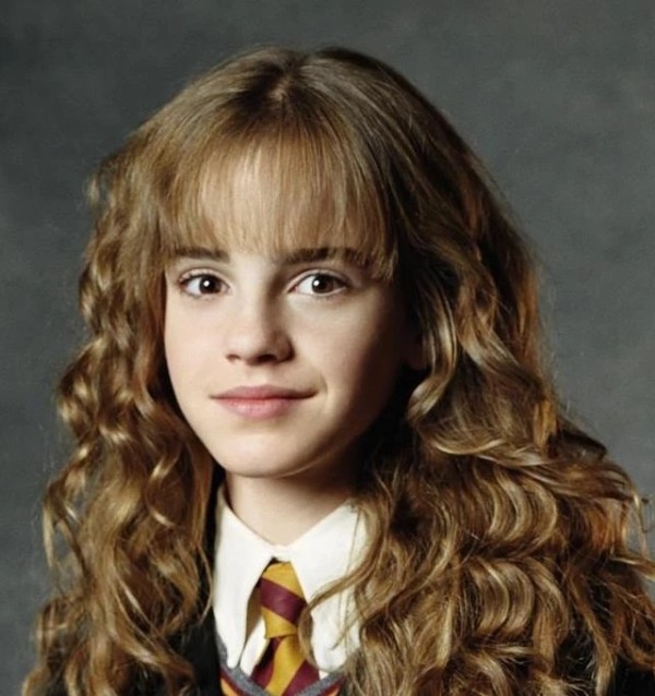 Harry Potter Hermione Jean Granger Brown Styled Cosplay Wig 50cm