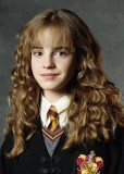 Harry Potter Hermione Jean Granger Brown Styled Cosplay Wig 50cm