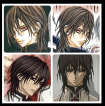 Vampire Knight Kuran Kaname Brown Styled Cosplay Wig