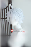 Honkai Star Rail HSR Jing Yuan Phainon Prestyled Silver White Ponytail Cosplay Wig